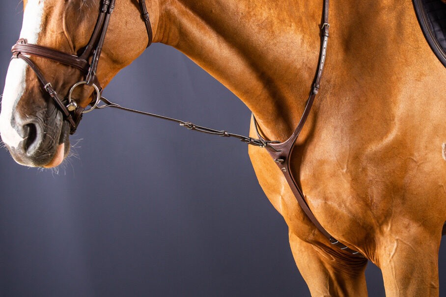 Dyon Standing Martingale Attachment 'New English Collection' Dyon Standing Martingale Attachment 'New English Collection'