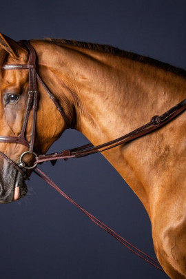 Dyon (16mm) Leather And Nylon Draw Reins 'New English Collection'