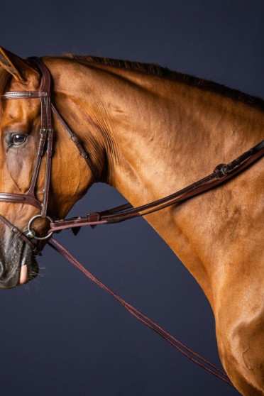 Dyon (16mm) Leather And Nylon Draw Reins 'New English Collection' Dyon (16mm) Leather And Nylon Draw Reins 'New English Collection'