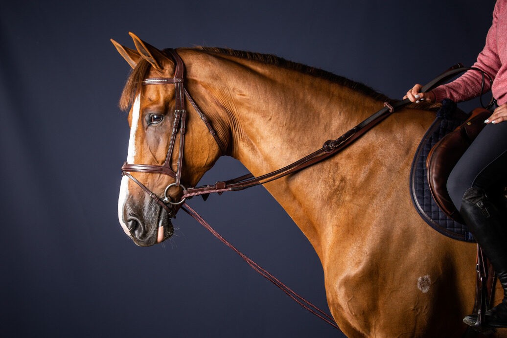 Dyon (16mm) Leather And Nylon Draw Reins 'New English Collection' Dyon (16mm) Leather And Nylon Draw Reins 'New English Collection'
