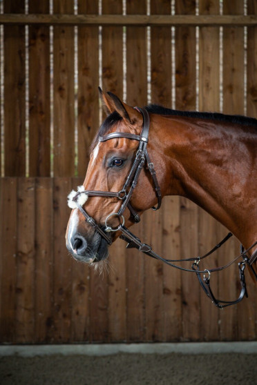 Dyon Figure 8 Noseband Bridle 'Working Collection' Mexicaanse Neusriem Dyon Figure 8 Noseband Bridle 'Working Collection' Mexicaanse Neusriem