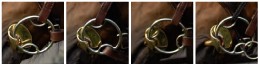 Stubben Golden Wings 4IN1 Snaffle Bit Single Jointed Stubben Golden Wings 4IN1 Snaffle Bit Single Jointed