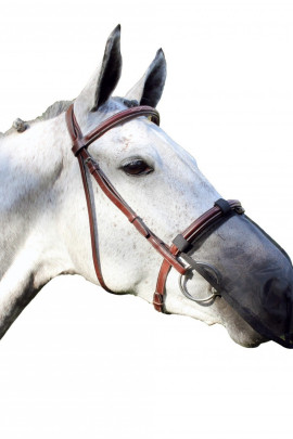 QHP Nose Net