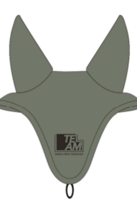 CT Team Raceway Oornet w/Hanging Loop Groen