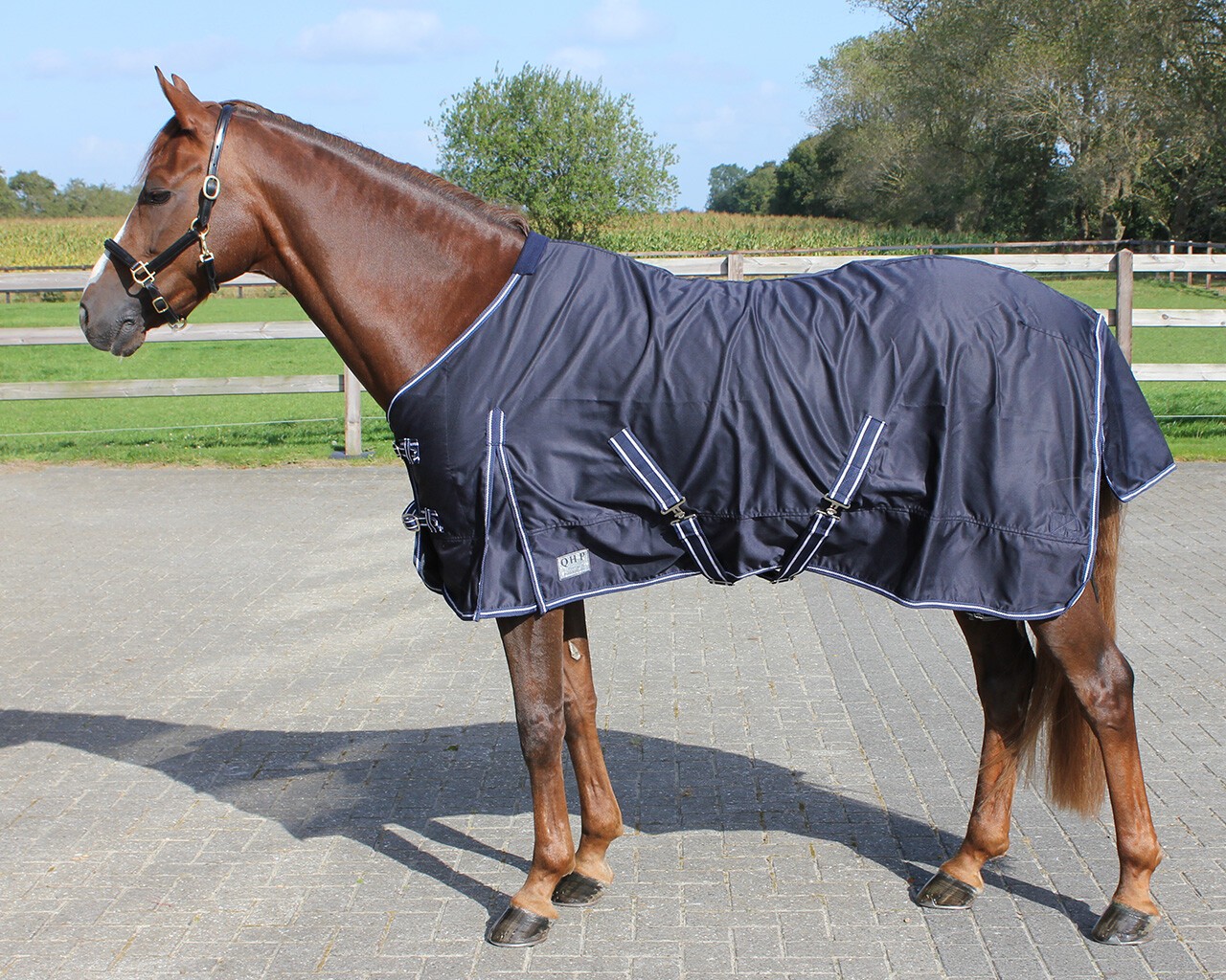 QHP Summer Rug Basic, The basic summer rug is a thin, but yet strong and versatile rug which protects the horse against cold nig QHP Summer Rug Basic, The basic summer rug is a thin, but yet strong and versatile rug which protects the horse against cold nig