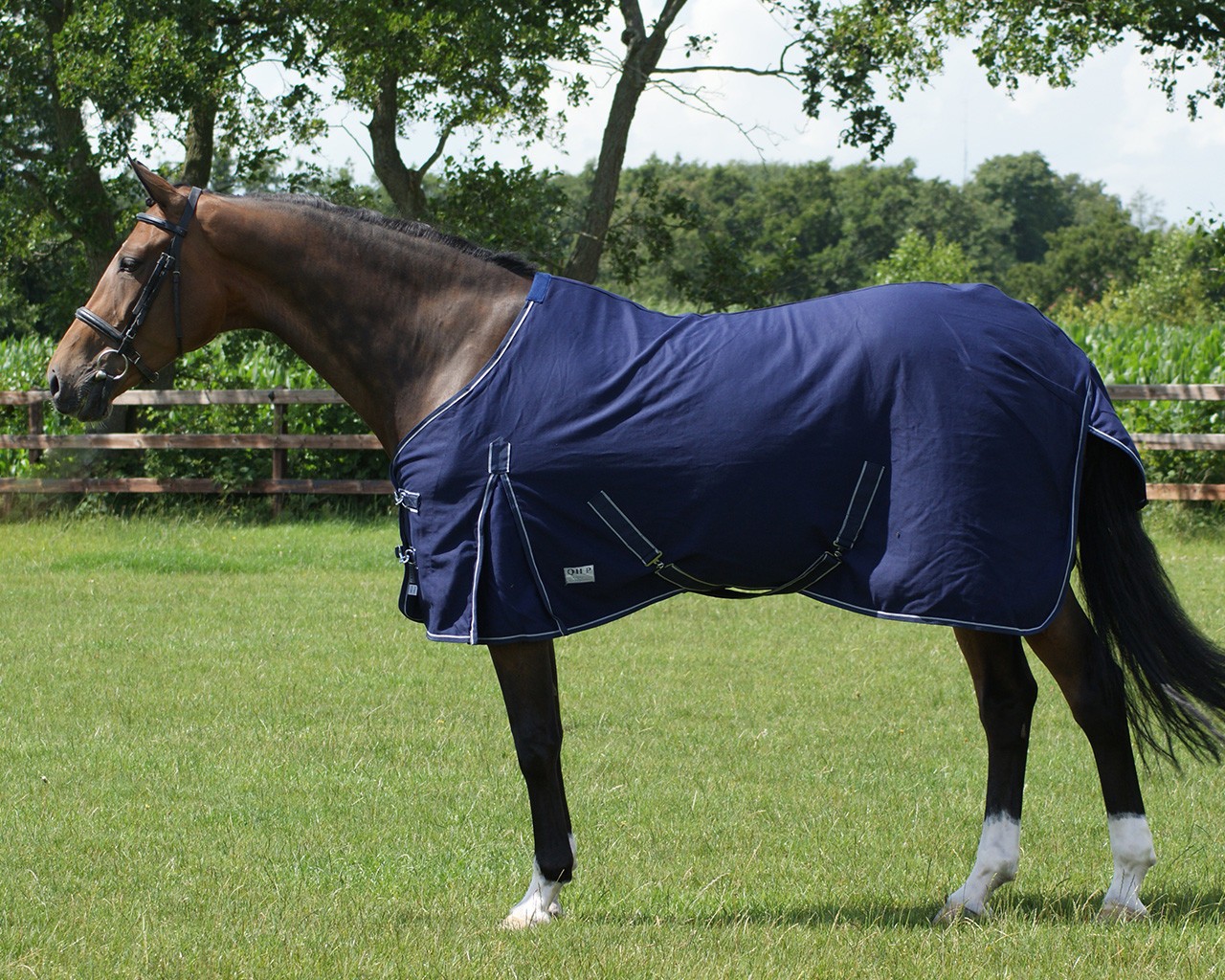 QHP Zomer Staldeken Blauw Basic, De basic zomerdeken is een dunne, maar toch sterke en veelzijdige deken QHP Zomer Staldeken Blauw Basic, De basic zomerdeken is een dunne, maar toch sterke en veelzijdige deken