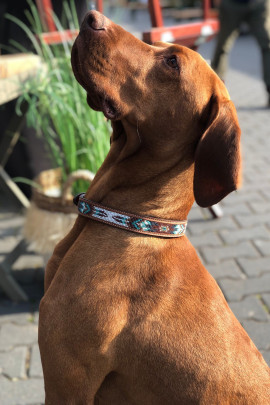 Ridershouse Penelope bruine leren hondenhalsband met parels