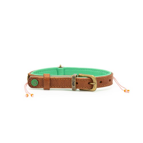 Dog With A Mission Sweet Mae Dog With A Mission Sweet Mae