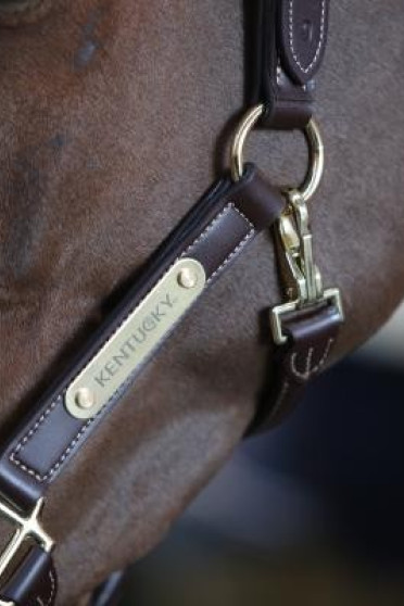 Kentucky Horsewear Anatomisch Halster Kentucky Horsewear Anatomisch Halster