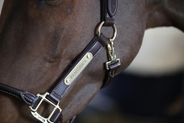 Kentucky Horsewear Anatomisch Halster Kentucky Horsewear Anatomisch Halster