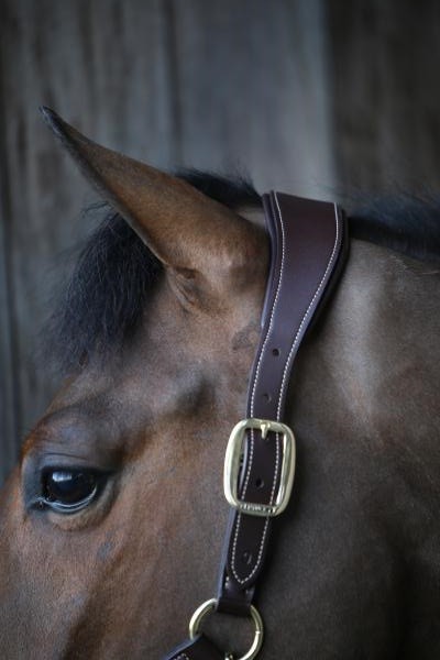 Kentucky Horsewear Anatomisch Halster Kentucky Horsewear Anatomisch Halster