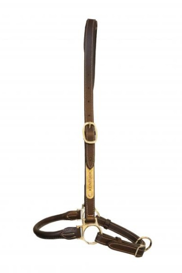 Kentucky Horsewear Grooming Halster Kentucky Horsewear Grooming Halster