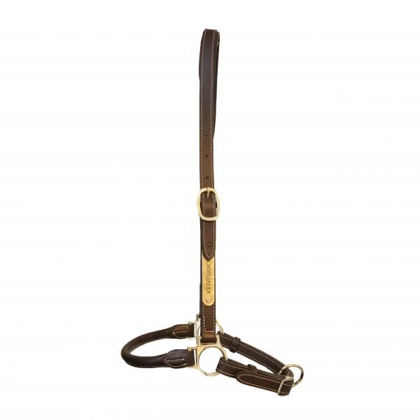 Kentucky Horsewear Grooming Halster Kentucky Horsewear Grooming Halster
