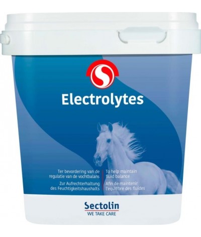 Sectolin Electrolytes 3 KG