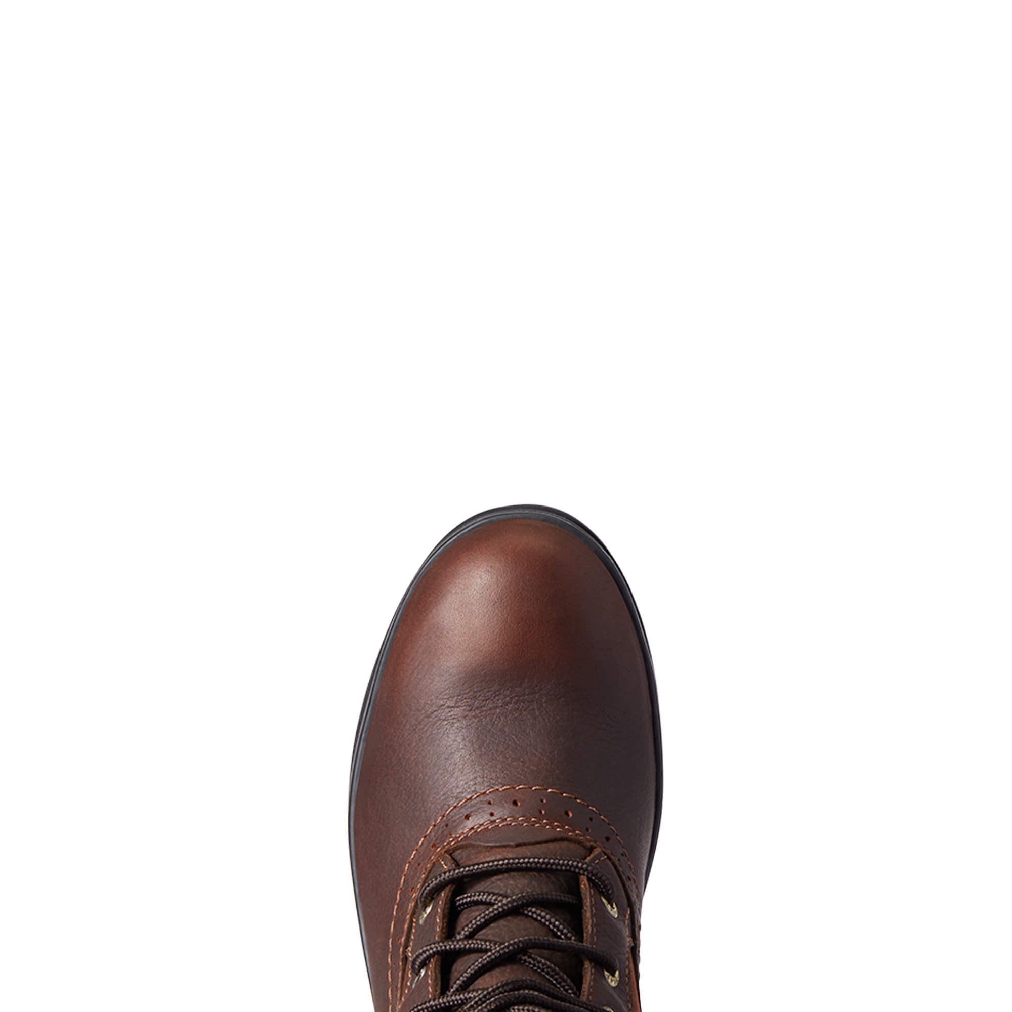 Ariat Wythburn Tall H20 Laars Donker Bruin Ariat Wythburn Tall H20 Laars Donker Bruin