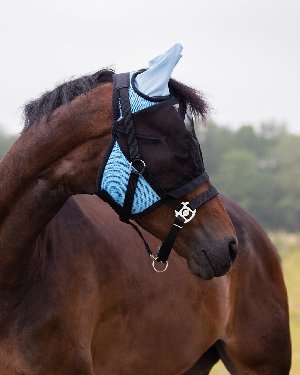 Qhp Vliegenkap Met Afneembare Neusflap, leverbaar in 4 verschillende kleuren. Qhp Vliegenkap Met Afneembare Neusflap, leverbaar in 4 verschillende kleuren.