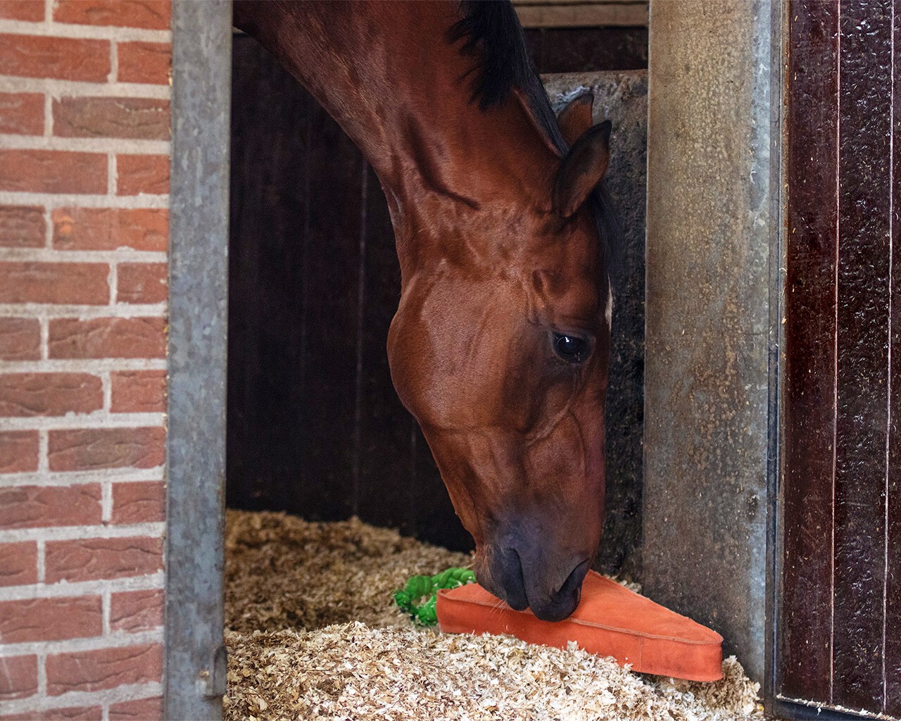QHP Paardenspeelgoed Wortel XL, super leuk voor uw paard om mee te spelen QHP Paardenspeelgoed Wortel XL, super leuk voor uw paard om mee te spelen