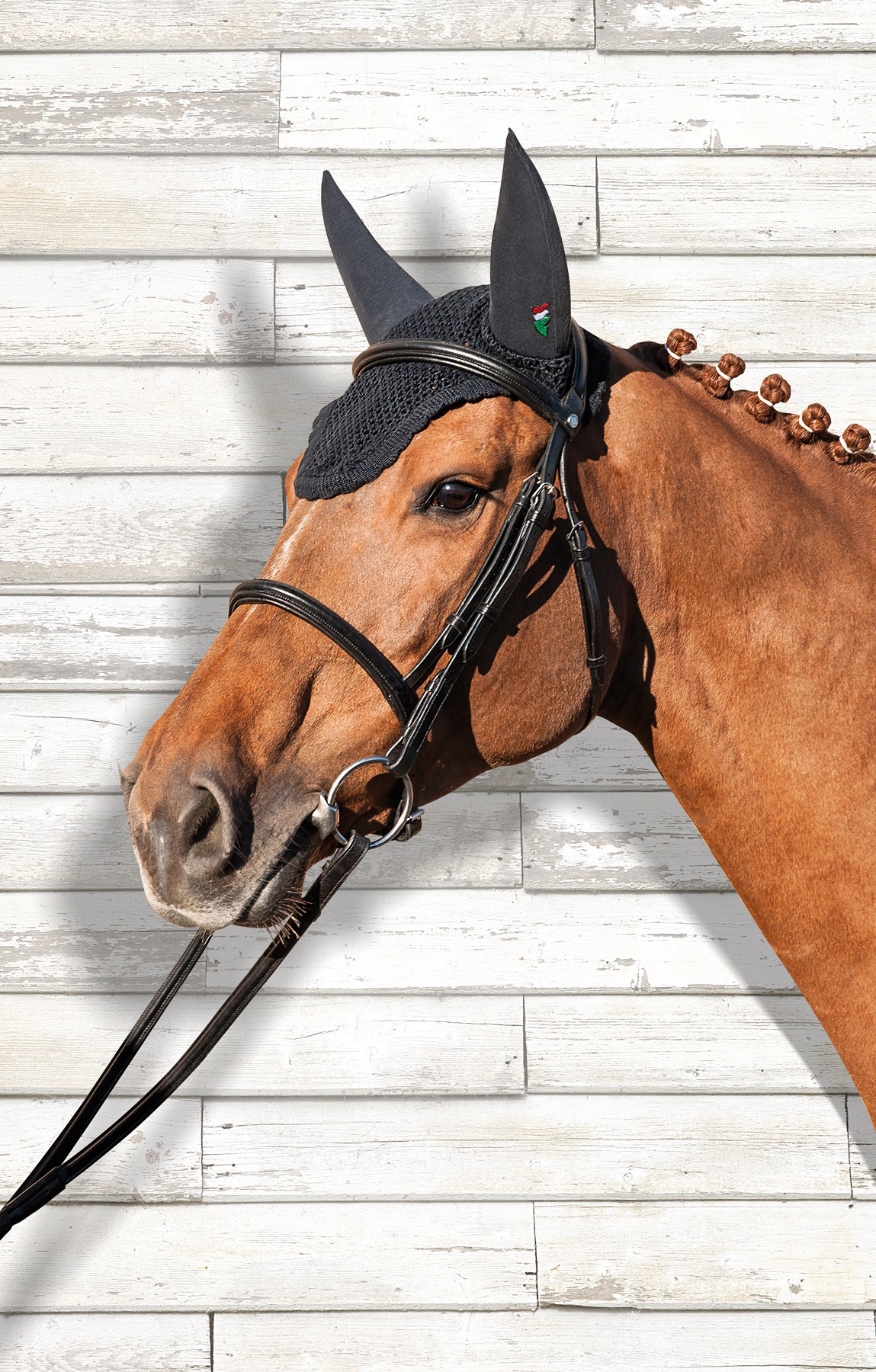 Equiline Soundless Ear Net Equiline Soundless Ear Net