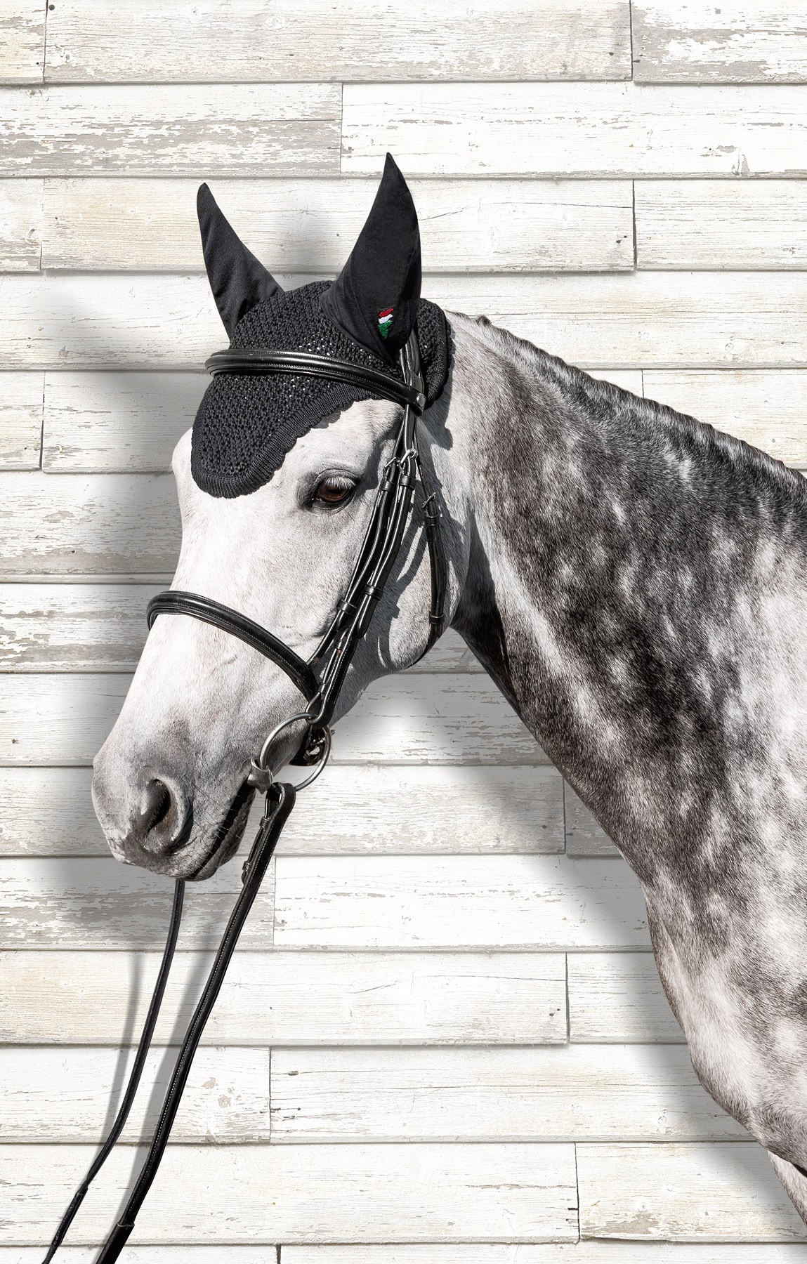 Equiline Ear Net U Kim Equiline Ear Net U Kim