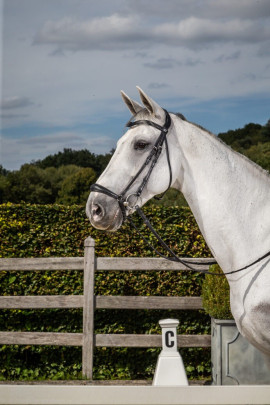 Dyon Patent Matte Medium Crank Noseband Bridle With Flash 'Dressage Flat' Collection Dyon Patent Matte Medium Crank Noseband Bridle With Flash 'Dressage Flat' Collection