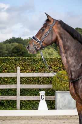Dyon Dressage Headpiece 'Dressage Flat' Collection Dyon Dressage Headpiece 'Dressage Flat' Collection