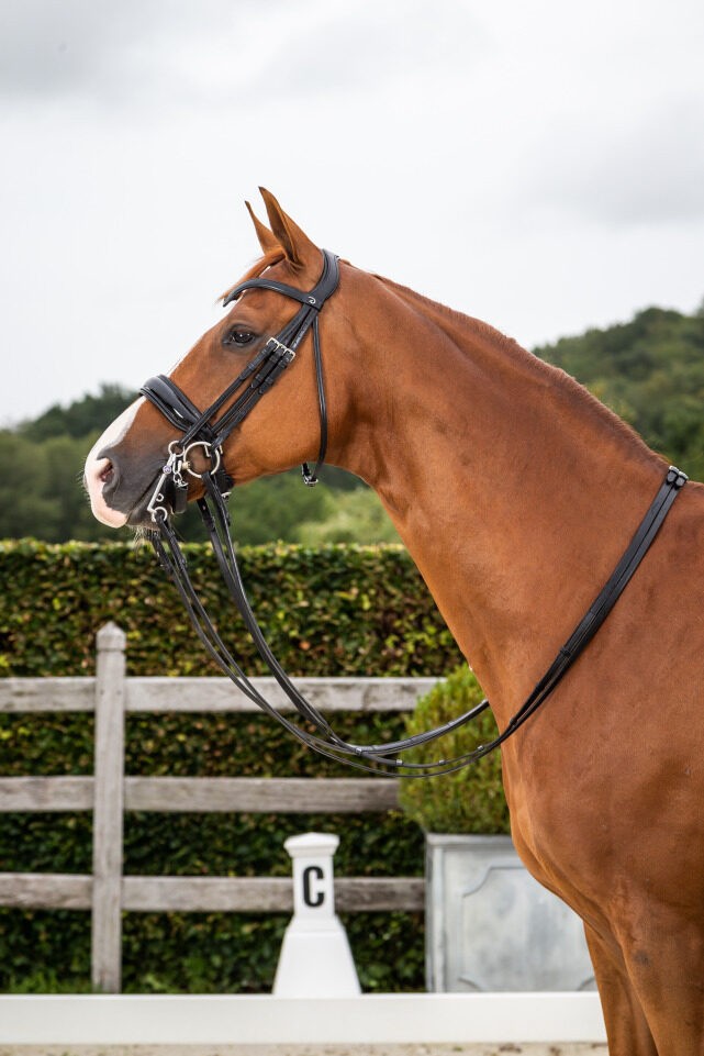 Dyon Dressage Double Bridle Headpiece 'Dressage Flat' Collection Dyon Dressage Double Bridle Headpiece 'Dressage Flat' Collection