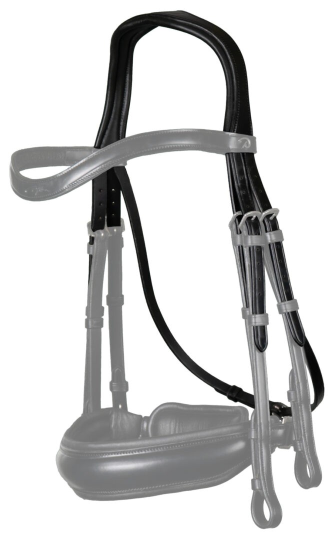 Dyon Dressage Double Bridle Headpiece 'Dressage Flat' Collection Dyon Dressage Double Bridle Headpiece 'Dressage Flat' Collection