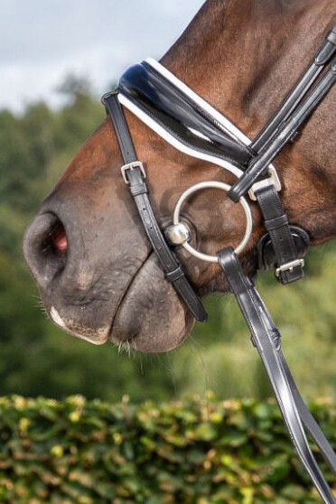 Dyon Patent Large Crank Noseband With White Padding And Flash 'Dressage Flat' Collection