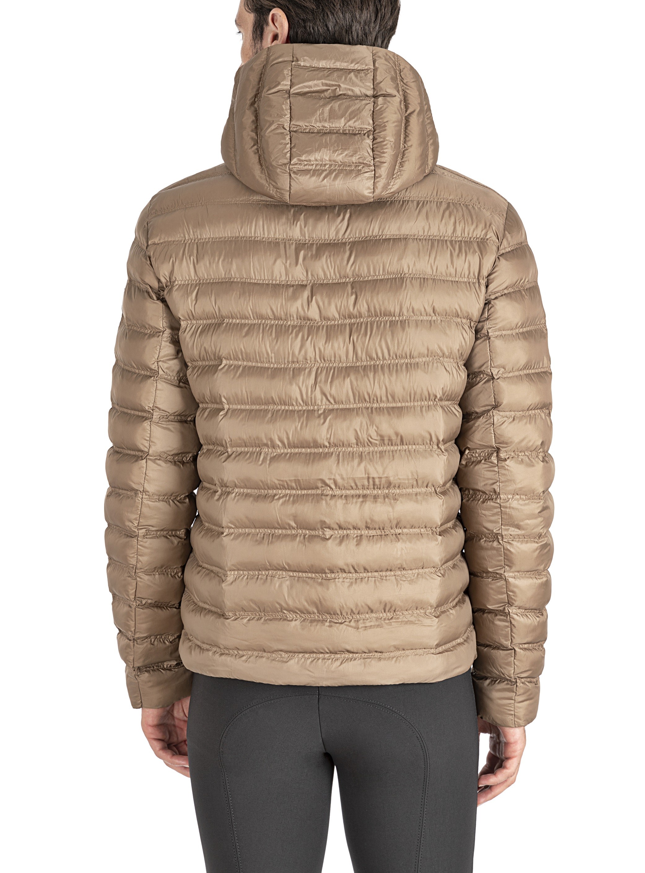 Equiline Heren Jas Elaise Camel