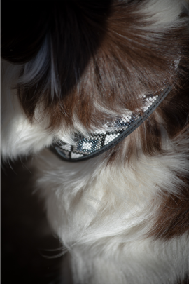 Ridershouse Penelope Zwarte leren hondenhalsband met parels Ridershouse Penelope Zwarte leren hondenhalsband met parels