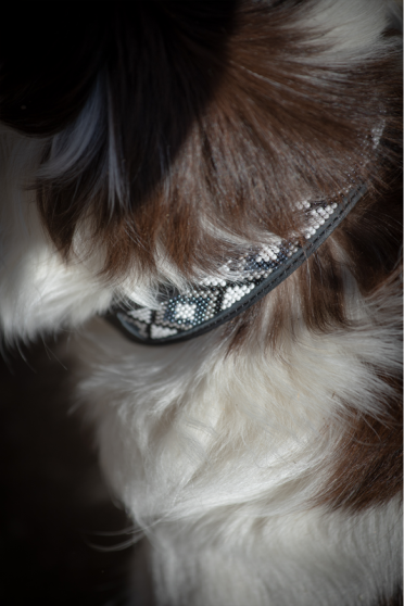 Ridershouse Penelope Zwarte leren hondenhalsband met parels Ridershouse Penelope Zwarte leren hondenhalsband met parels