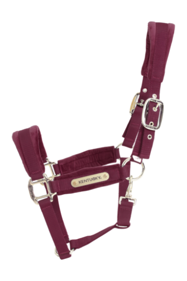 Velvet Halster Kentucky Bordeaux Size Full Velvet Halster Kentucky Bordeaux Size Full