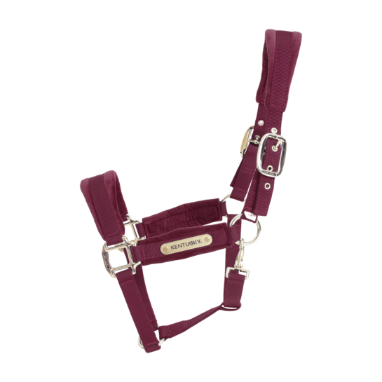 Velvet Halster Kentucky Bordeaux Size Full Velvet Halster Kentucky Bordeaux Size Full