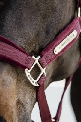 Velvet Halster Kentucky Bordeaux Size Full Velvet Halster Kentucky Bordeaux Size Full