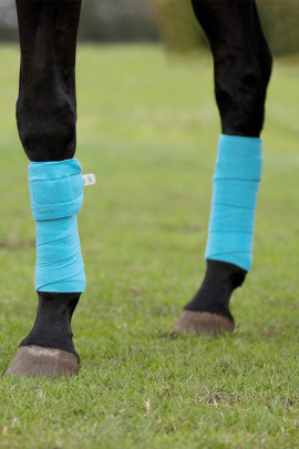 QHP Fleece Bandages 3 Meter, in een set van 4 stuks. Leverbaar in blauw en zwart. QHP Fleece Bandages 3 Meter, in een set van 4 stuks. Leverbaar in blauw en zwart.
