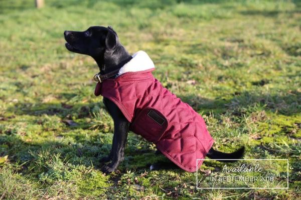 Kentucky Horsewear Hondendeken Bordeaux Kentucky Horsewear Hondendeken Bordeaux