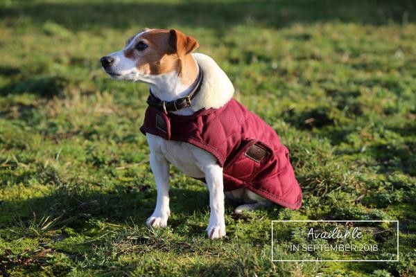Kentucky Horsewear Hondendeken Bordeaux Kentucky Horsewear Hondendeken Bordeaux