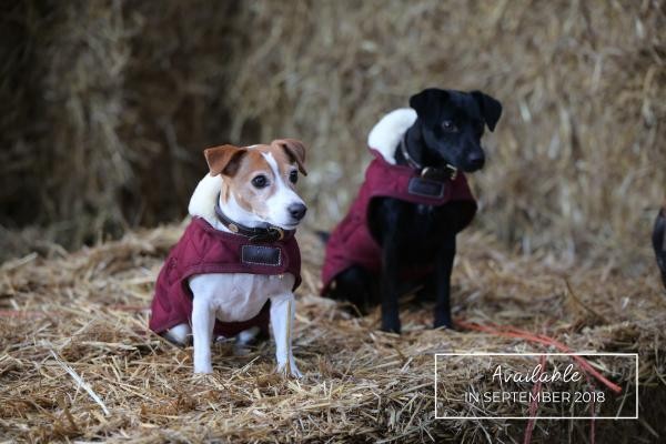 Kentucky Horsewear Hondendeken Bordeaux Kentucky Horsewear Hondendeken Bordeaux