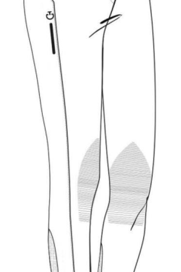 Ridershouse: CT RS Breeches High Waist Knee Grip - Wit Ridershouse: CT RS Breeches High Waist Knee Grip - Wit