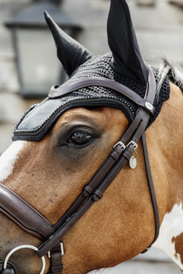 Prachtig oornetje Wellington van het merk Kentucky Horsewear. Prachtig oornetje Wellington van het merk Kentucky Horsewear.