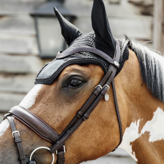 Prachtig oornetje Wellington van het merk Kentucky Horsewear. Prachtig oornetje Wellington van het merk Kentucky Horsewear.