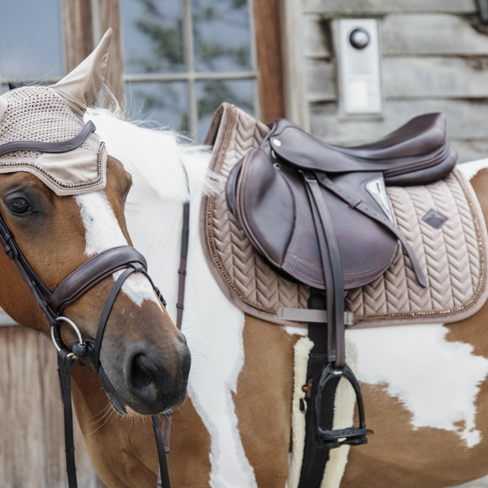 Prachtig oornetje Wellington van het merk Kentucky Horsewear. Velvet Pearls Prachtig oornetje Wellington van het merk Kentucky Horsewear. Velvet Pearls