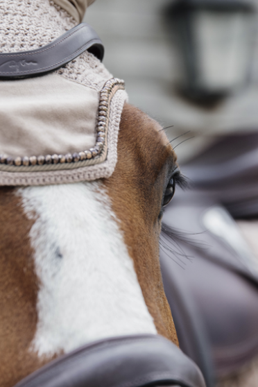Prachtig oornetje Wellington van het merk Kentucky Horsewear. Velvet Pearls Prachtig oornetje Wellington van het merk Kentucky Horsewear. Velvet Pearls