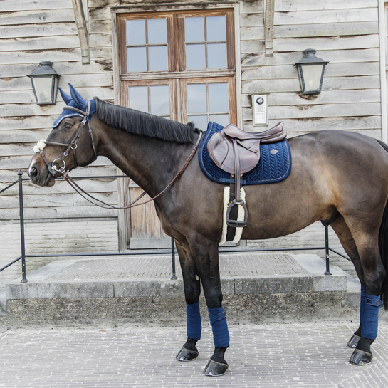 Prachtig oornetje Wellington van het merk Kentucky Horsewear. Velvet Pearls Prachtig oornetje Wellington van het merk Kentucky Horsewear. Velvet Pearls