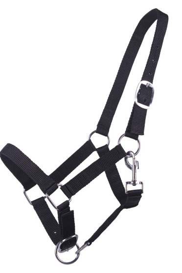 Ridershouse QHP Nylon Halster, speciaal voor Jaarling paarden. Ridershouse QHP Nylon Halster, speciaal voor Jaarling paarden.