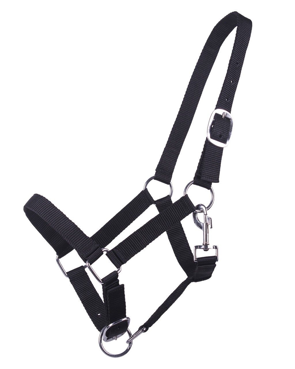 Ridershouse QHP Nylon Halster, speciaal voor Jaarling paarden. Ridershouse QHP Nylon Halster, speciaal voor Jaarling paarden.