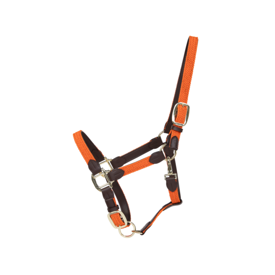 Kentucky Horsewear Nylon Gevlochten Halster Oranje Kentucky Horsewear Nylon Gevlochten Halster Oranje