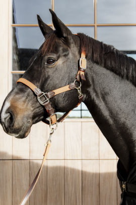 Kentucky Horsewear Nylon Gevlochten Halster Oranje Kentucky Horsewear Nylon Gevlochten Halster Oranje