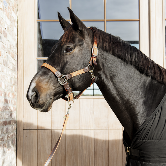 Kentucky Horsewear Nylon Gevlochten Halster Oranje Kentucky Horsewear Nylon Gevlochten Halster Oranje