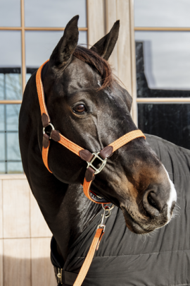 Kentucky Horsewear Nylon Gevlochten Halster Oranje Kentucky Horsewear Nylon Gevlochten Halster Oranje